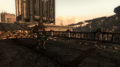 Rockfowl's New Gun