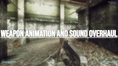 Fallout 3 - Weapon Animations and Sound Overhaul