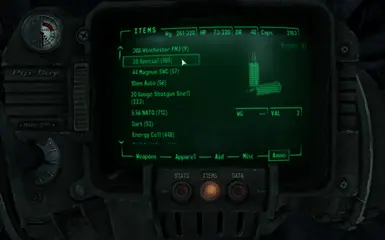 Pip Boy Icon