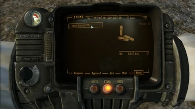 Functional ammo weight displayed in UI - Fixed