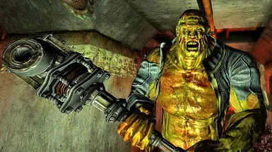 Fallout 3 Raider Voice Overhaul