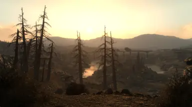 Capital Wasteland - 1.25x