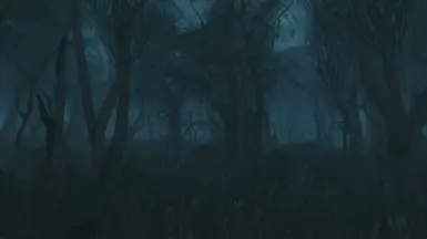Point Lookout - 1.25x