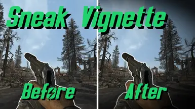 Sneak Vignette