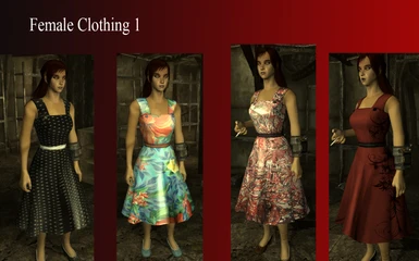Female Clothing 1