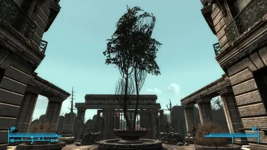A Tree