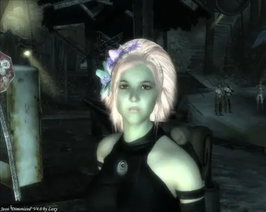 Fallout 3 - My new companion, The slightly lesbian looki…