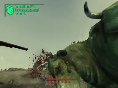 Brahmin1