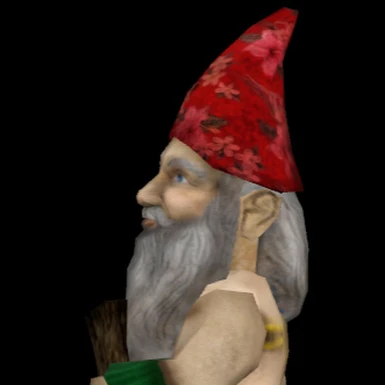 Gnome Profile