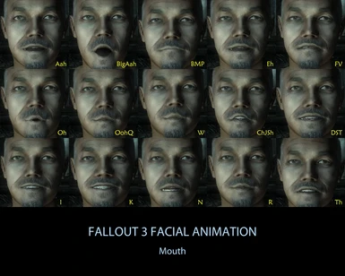 Facial Anim 2