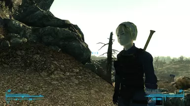 Vault101 escape