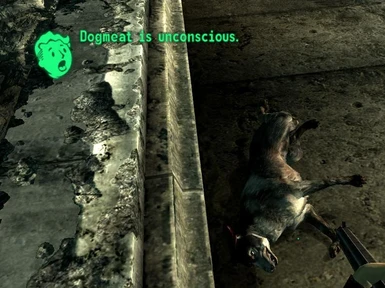 can dogmeat die fallout 3