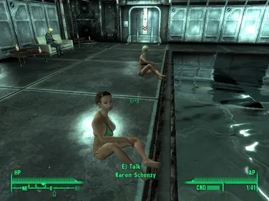 RR Vanilla Companions at Fallout 3 Nexus - Mods and community