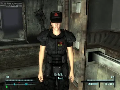 Brooke - Exnem Bigger Breasts RR Companion at Fallout 3 Nexus - Mods and  community