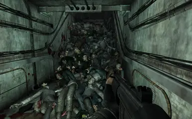 They Followed Me into Vault  1