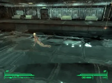 RR Vanilla Companions at Fallout 3 Nexus - Mods and community