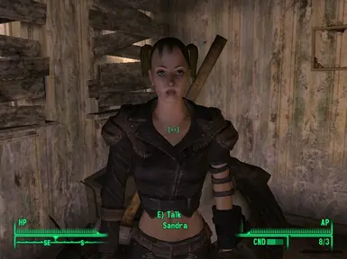 RR Vanilla Companions at Fallout 3 Nexus - Mods and community