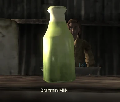 Brahmin Milk