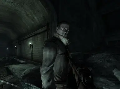 Metro 2033 Hunter Companion at Fallout 3 Nexus - Mods and community