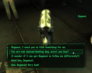 Talking to Dogmeat