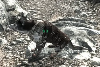 Dogmeat Leather Armor at Fallout 3 Nexus - Mods and community