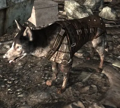 Dogmeat Leather Armor