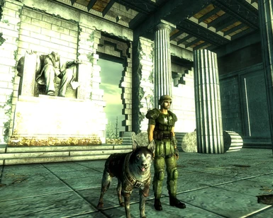 Dogmeat visiting Lincoln