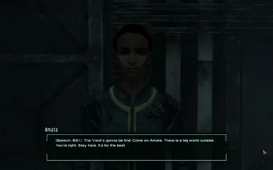 Fallout 3 how to get Amata as a follower 