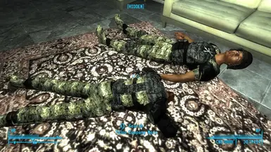 two bodies