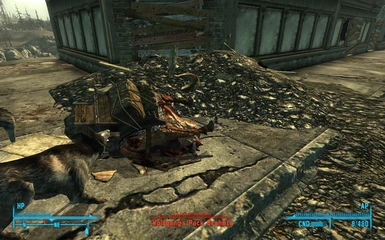 Dogmeat lunging onto a Brahmin he just knocked to the ground 