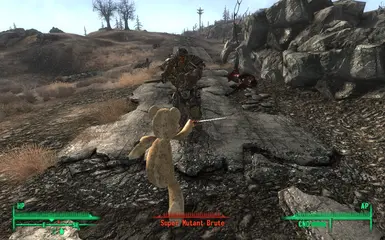 Gotcha