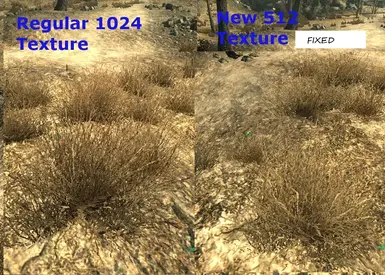 Grass