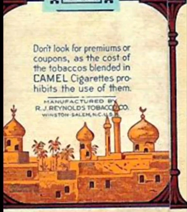 1954 Camel Backdetail