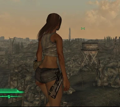 Fallout 3 Female Body