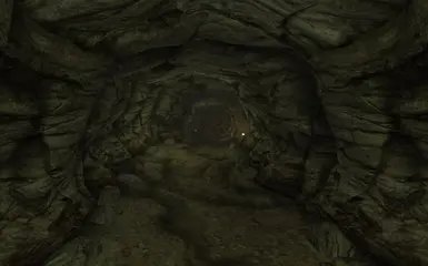 Vault Tunnel