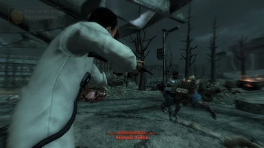 Darn it Dogmeat this is not Fable 2 and you are saving the wrong person