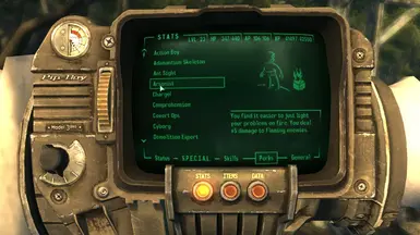 Arsonist Perk