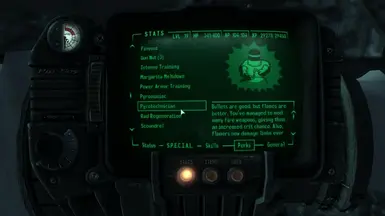 Pyrotechnician Perk