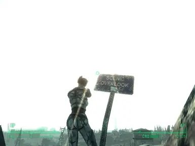 Enjoying the view
