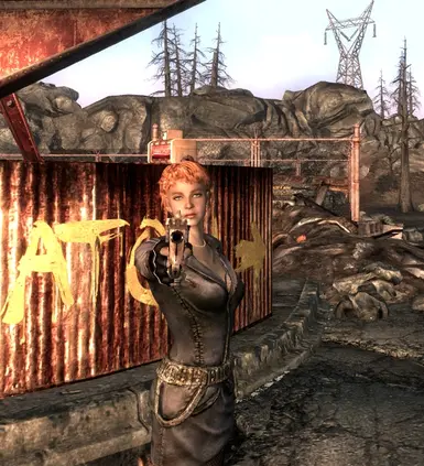 fallout 3 companion mods