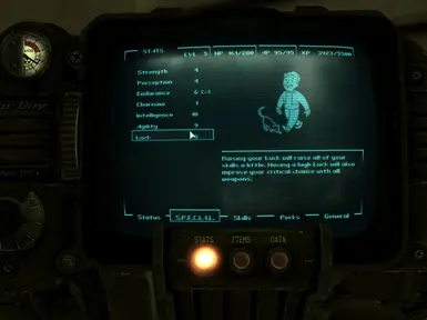 Pipboy SPECIAL Screen