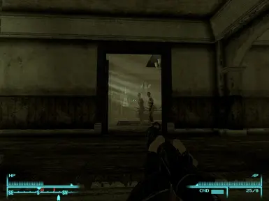 FPS View