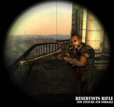 Reservists Rifle 1