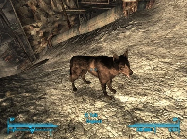 Brown Dogmeat