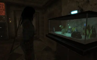 The aquarium