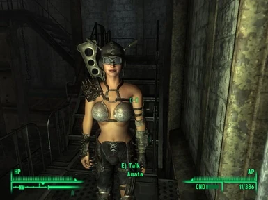 Fallout 3 how to get Amata as a follower 