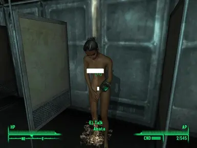 Fallout 3 Amata Follower Mod