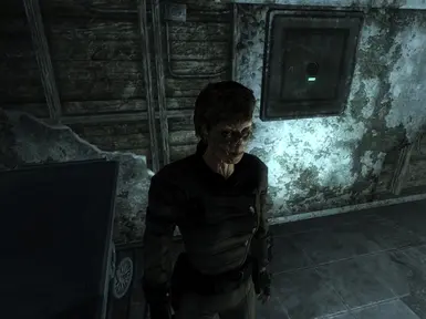 Fallout Character Overhaul - Races at Fallout 3 Nexus - Mods and community