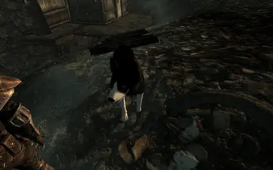 Dogmeat