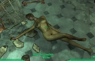 fallout 3 naked mod